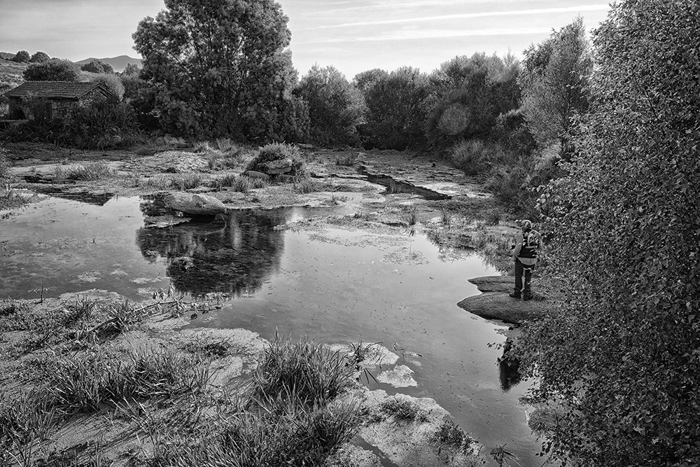 _JMF6931 - Cópia.jpg