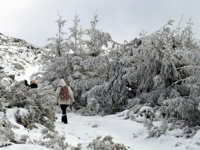 Walking in a winter wonderland, Serra da Estrela, 