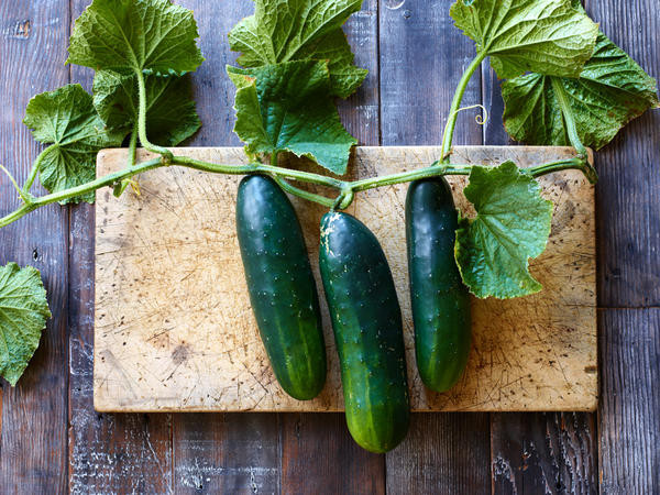 22_Week_Cucumber_4x3.jpg