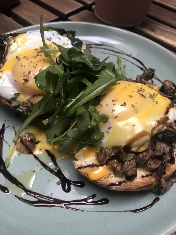 B5343556-3C70-42A9-8812-596DD39489D0.jpeg B5343556-3C70-42A9-8812-596DD39489D0.jpeg