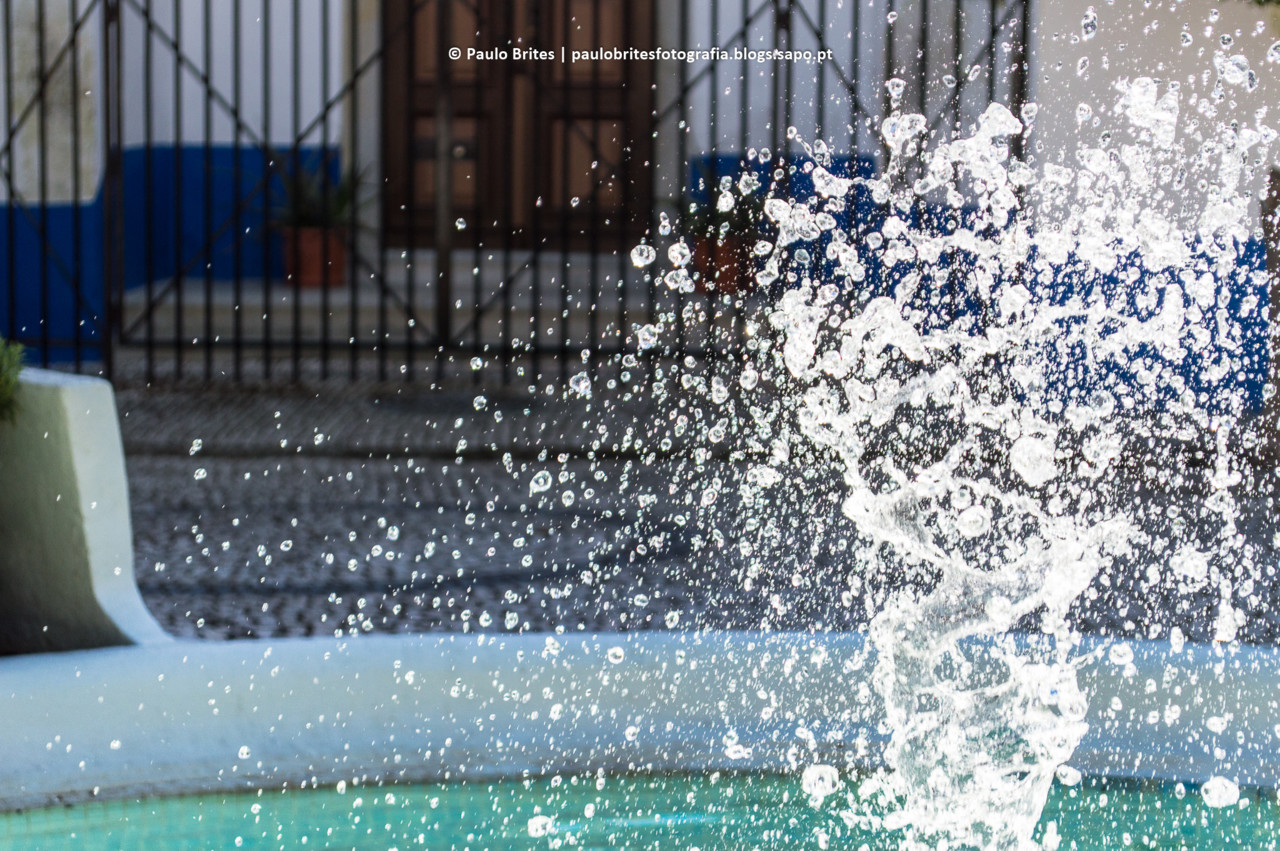 DSC_0455-1-2.jpg DSC_0455-1-2.jpg