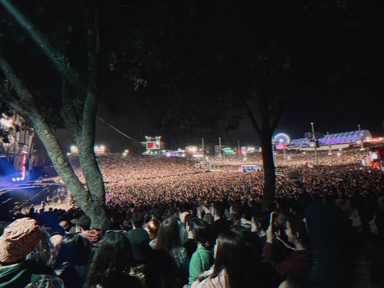 286831431_1038780353500015_1533296362731025332_n.j