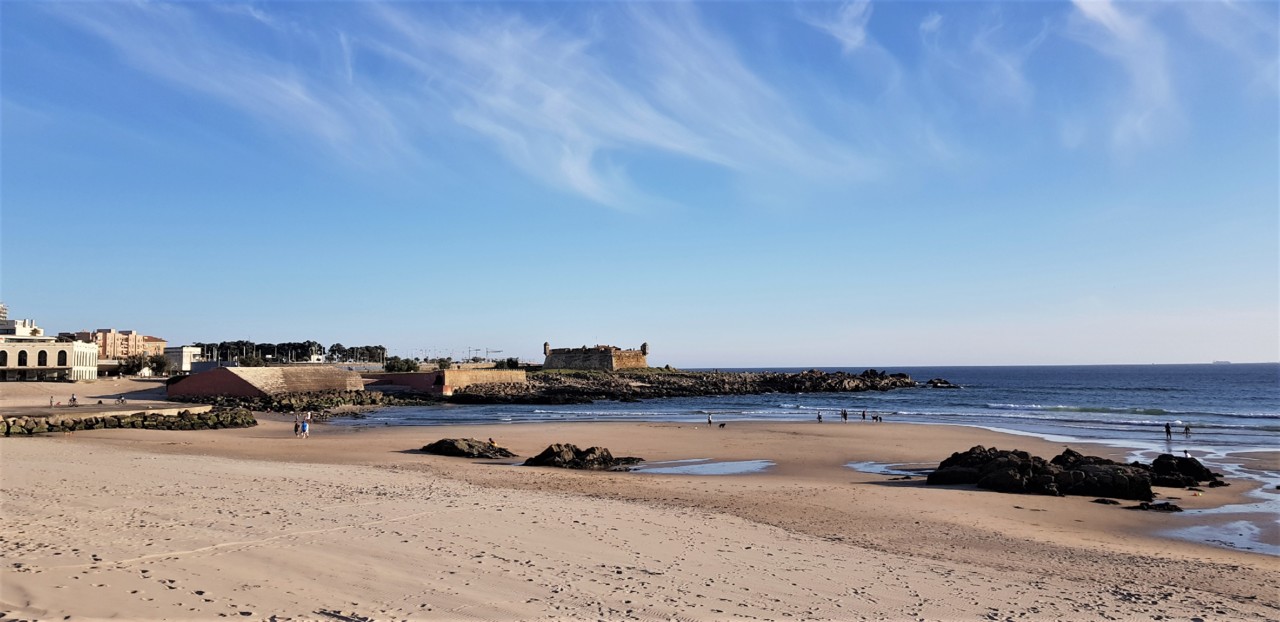 20200518_193720.jpg 20200518_193720.jpg