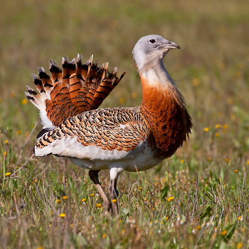 unnamed.jpg unnamed.jpg