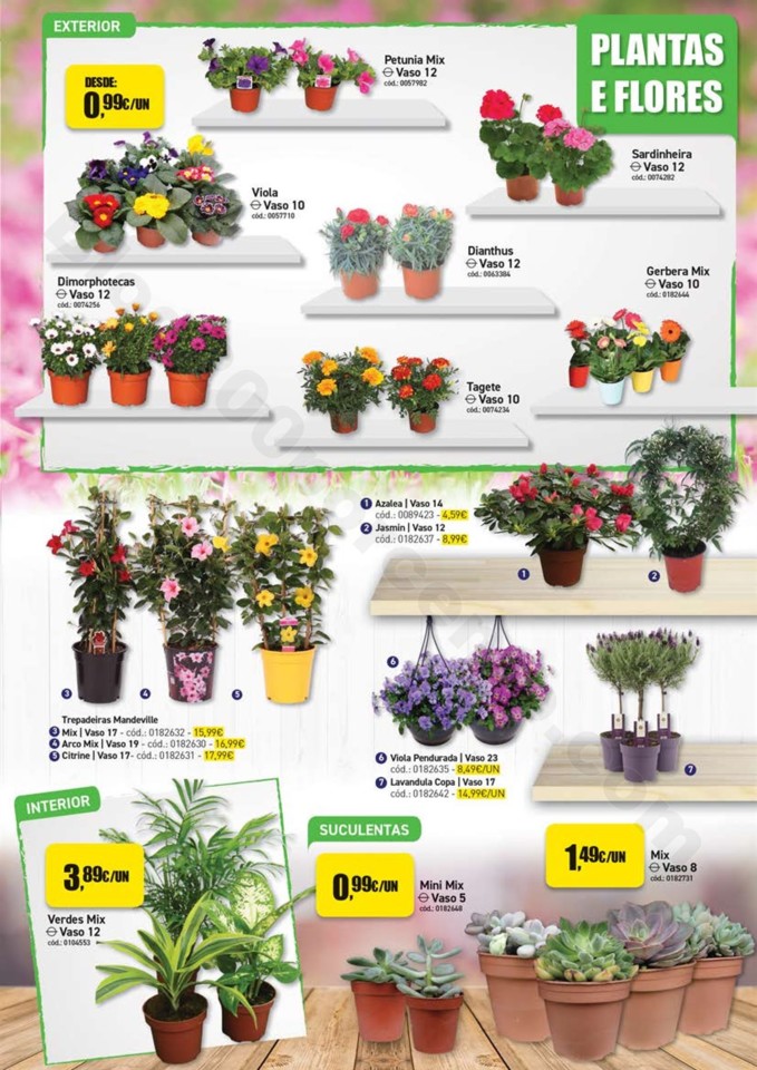 WEB_JARDIM_002.jpg