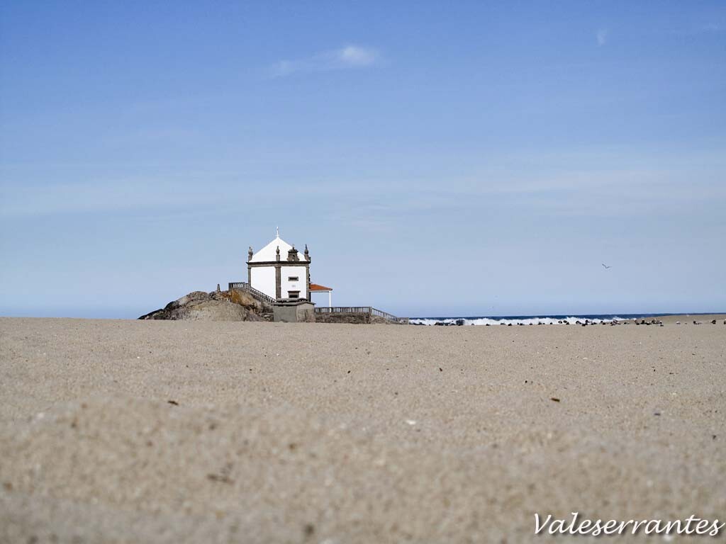 IMG_4198.jpg