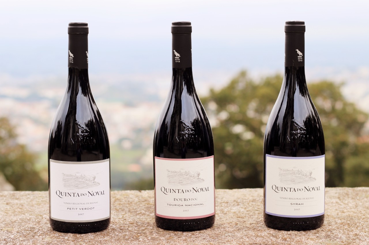 Noval Monocastas 2017