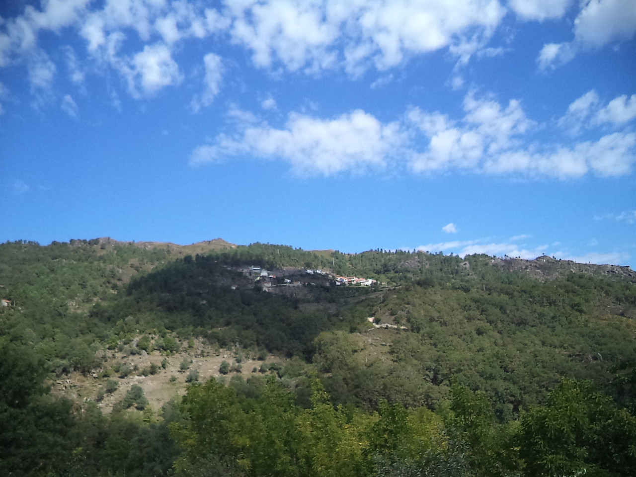 DSC08784.JPG DSC08784.JPG