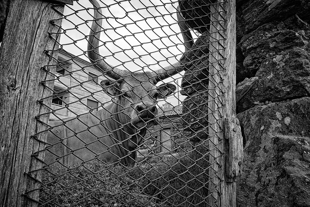 barroso - volta por SAlto 048 - Cópia.jpg