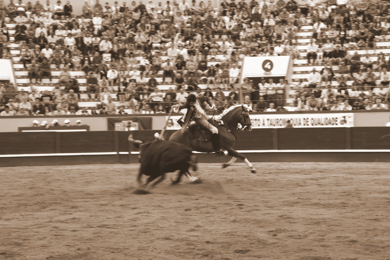 Dia26 3Toiro JPamplona.JPG