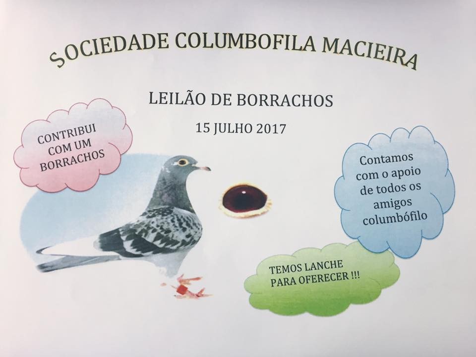 Leilão Macieira.jpg