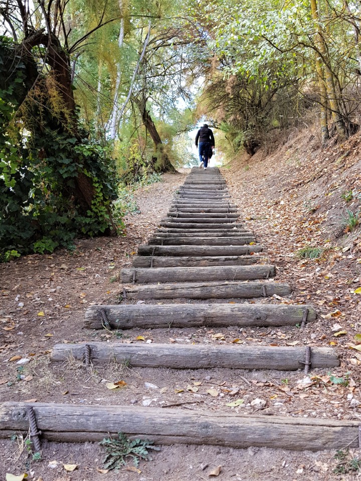 20171103_155127.jpg 20171103_155127.jpg