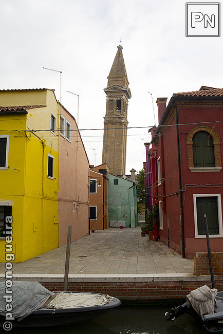 _MG_1172 650px.jpg _MG_1172 650px.jpg