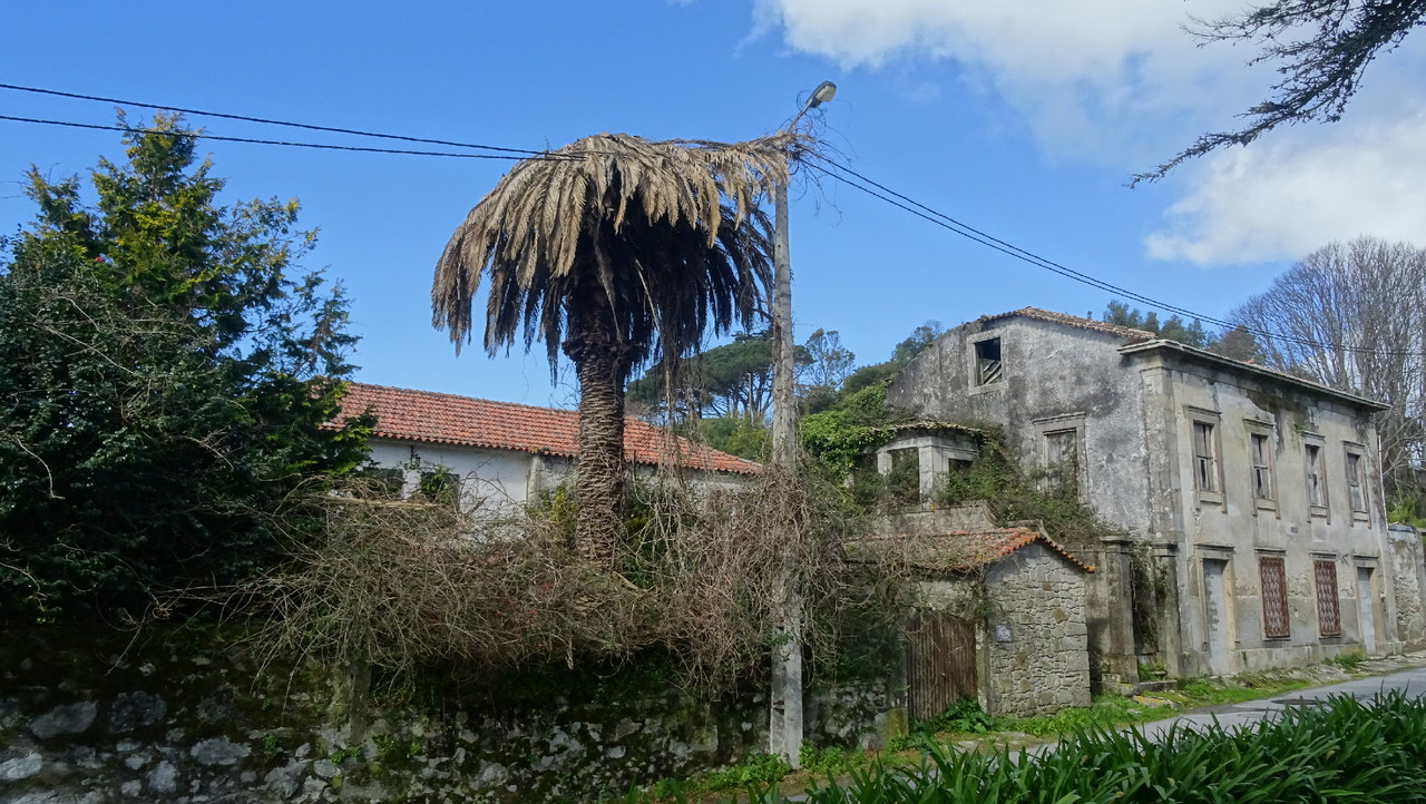 DSC00250.JPG DSC00250.JPG