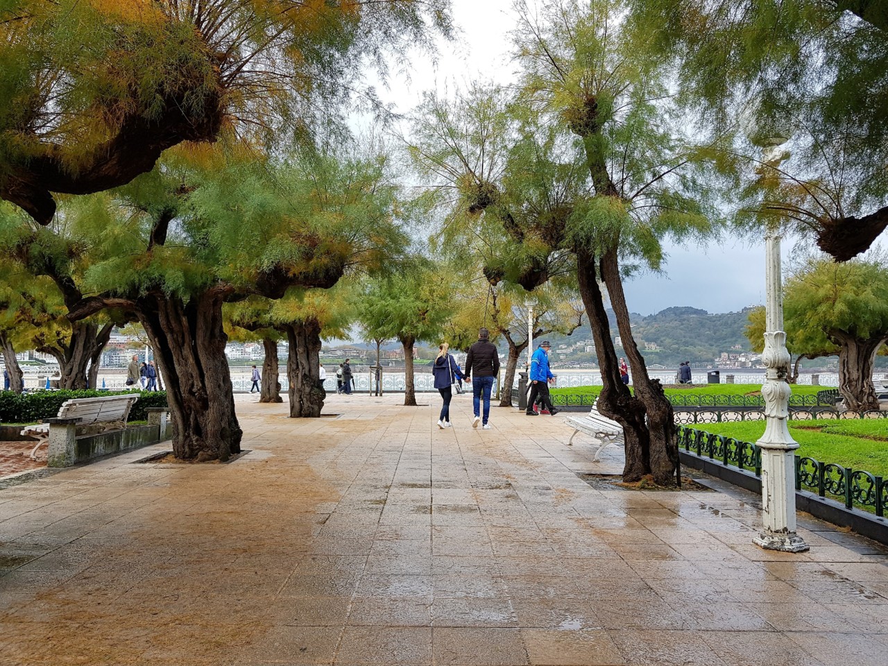 20171105_113225.jpg 20171105_113225.jpg