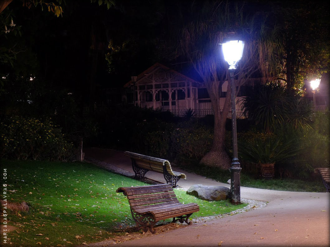 Workshop Fotografia Noturna (modo manual) - Odisseias | Maria das Palavras