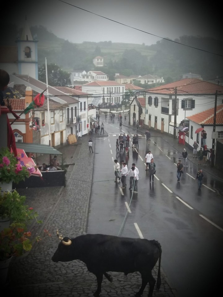 toiros posto santo 1.jpg toiros posto santo 1.jpg