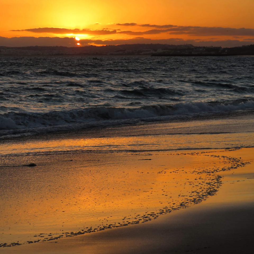 8AFA0E73-A197-43E6-B60C-CEAAE5224304.png 8AFA0E73-A197-43E6-B60C-CEAAE5224304.png