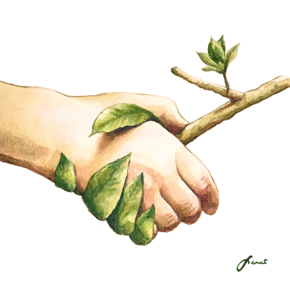 7EED9BEF-C440-45CE-BF64-1524B591218D.jpeg 7EED9BEF-C440-45CE-BF64-1524B591218D.jpeg