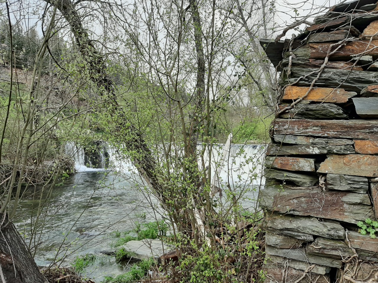 20200308_164340.jpg 20200308_164340.jpg