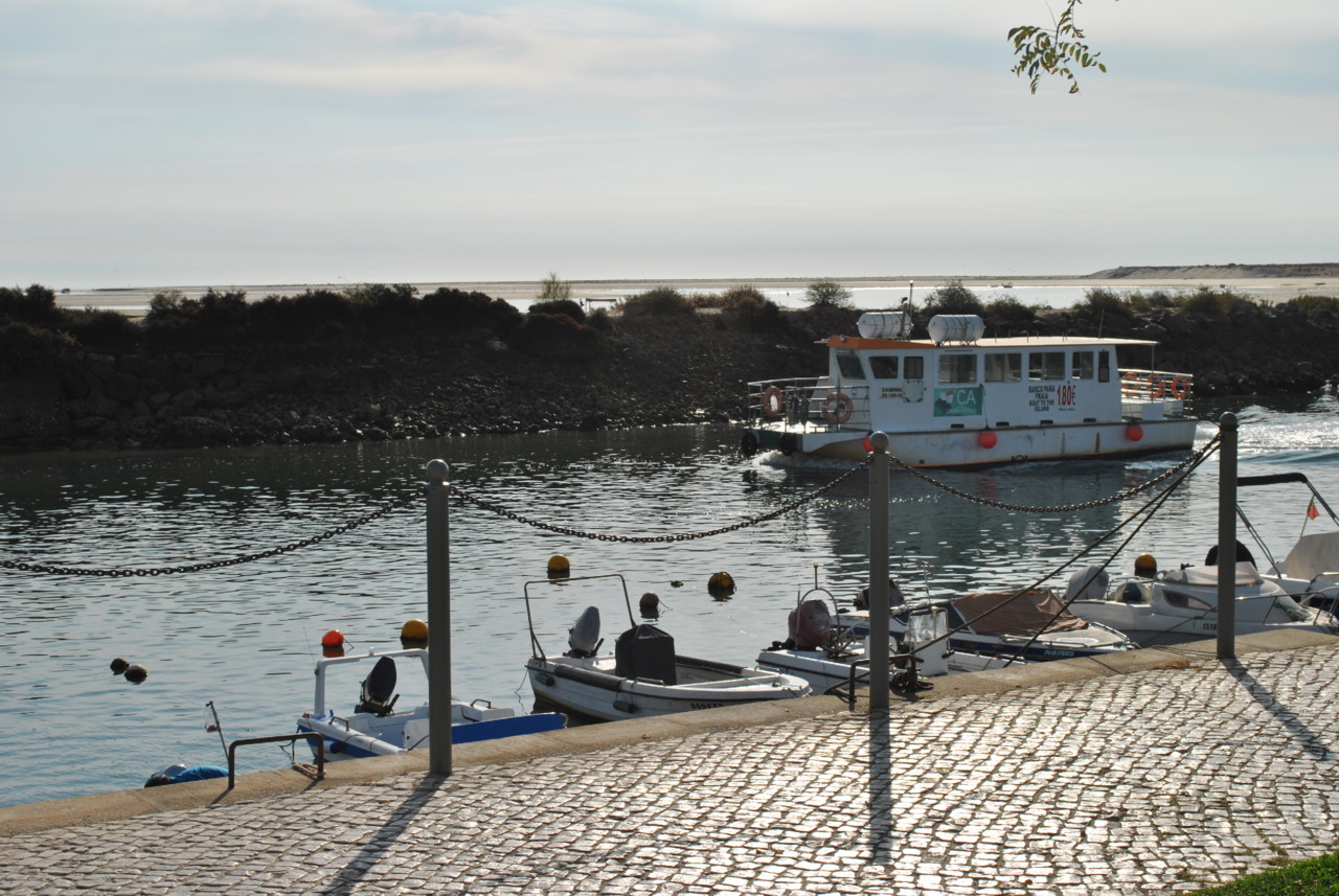 Branca Noiva do Mar 06.JPG