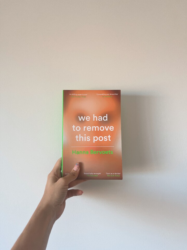we-had-to-remove-this-post-hanna-bervoets.JPG