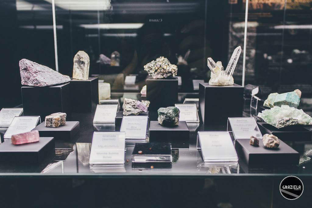 Museu_Geologico_de_Lisboa-017033.jpg