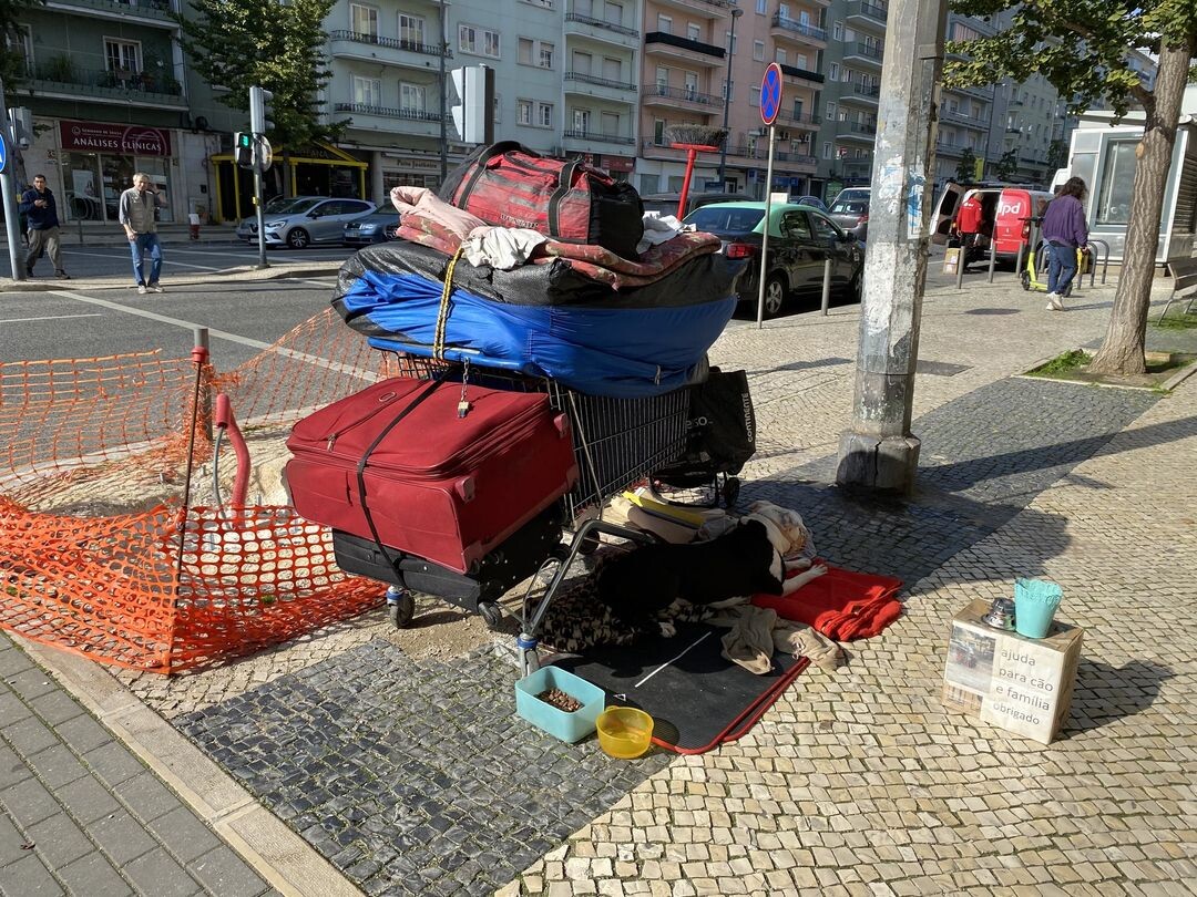 402085633_6905287916219753_8654870772740090520_n.j