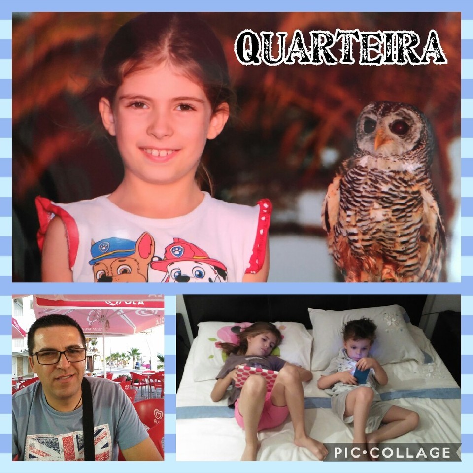 Collage 2017-06-23 00_35_18.jpg