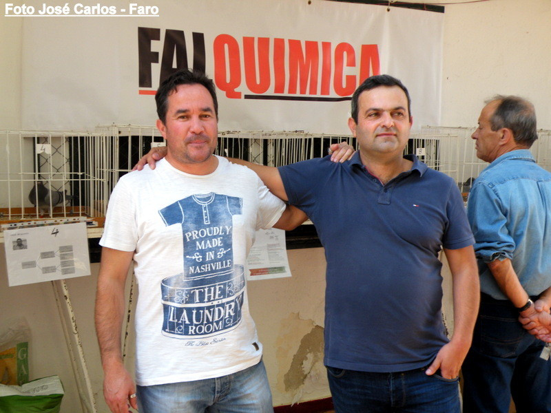 Leilão Asas Beja 2017 047.JPG