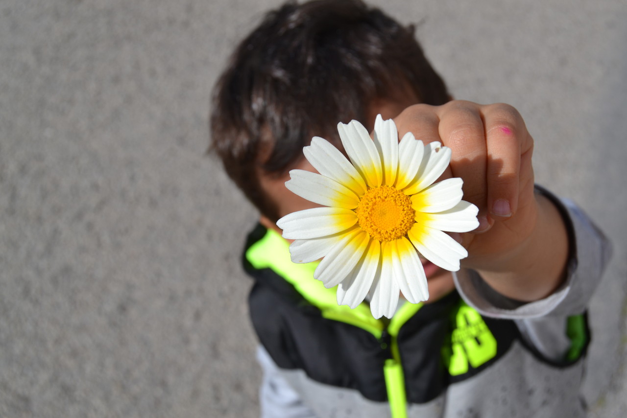 DSC_1031.JPG DSC_1031.JPG