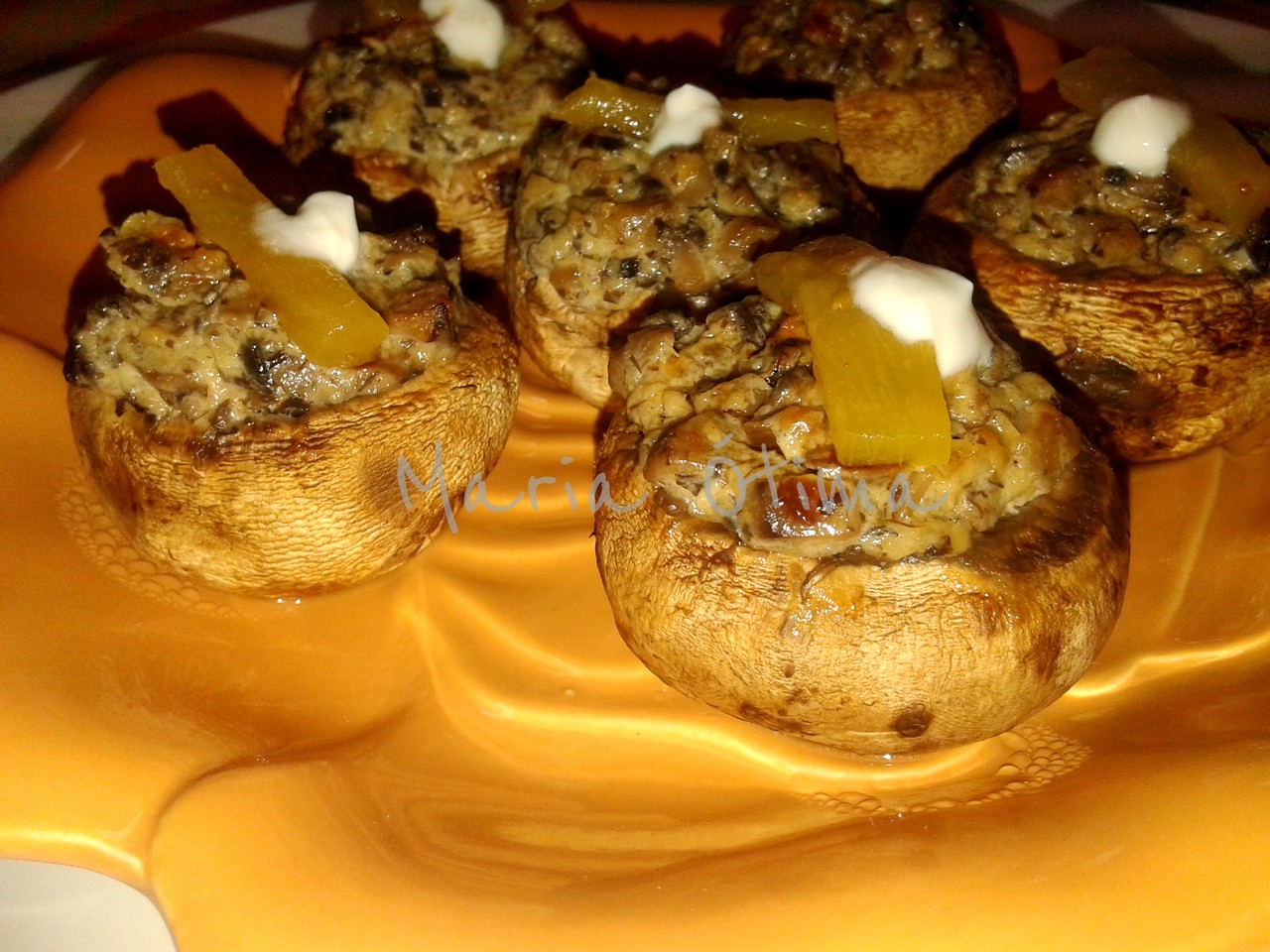 cogumelos da Bia2.jpg