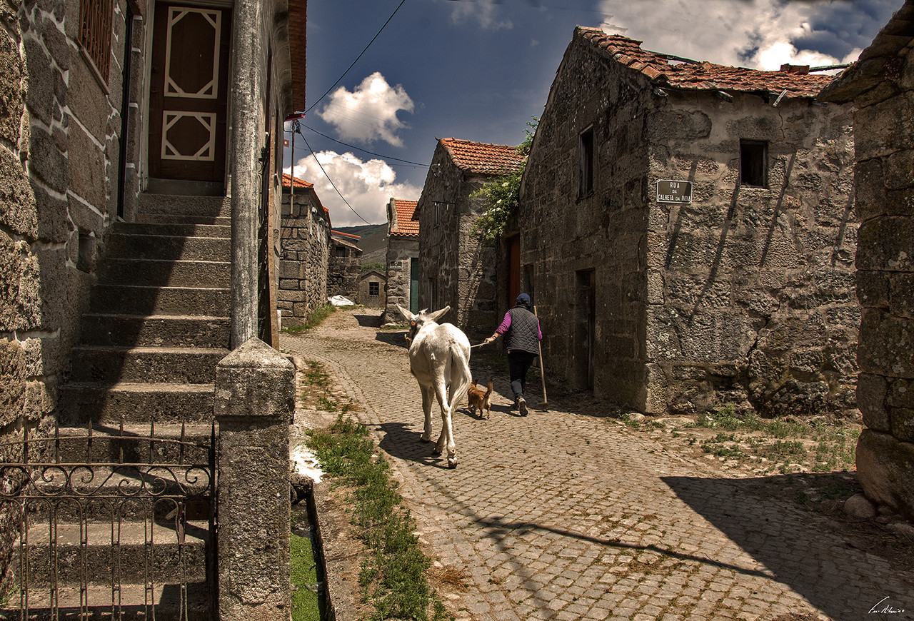 1600-firvidas (260).jpg