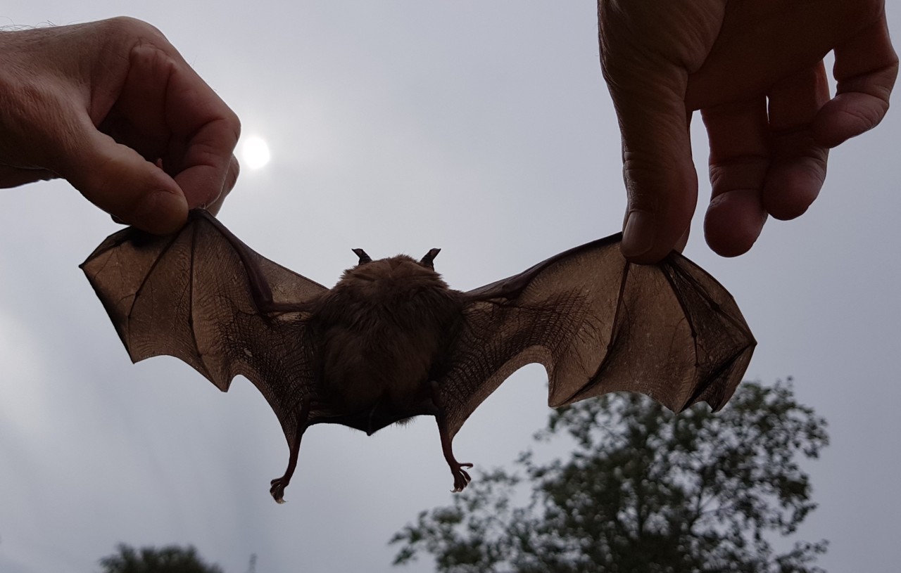 20191020_113219.jpg 20191020_113219.jpg