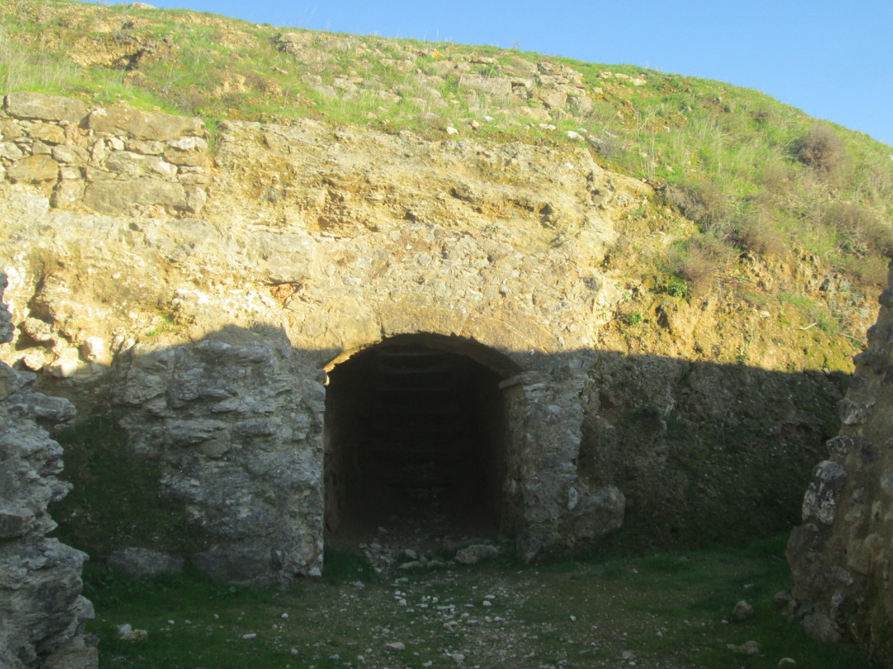 IMG_7259.JPG IMG_7259.JPG