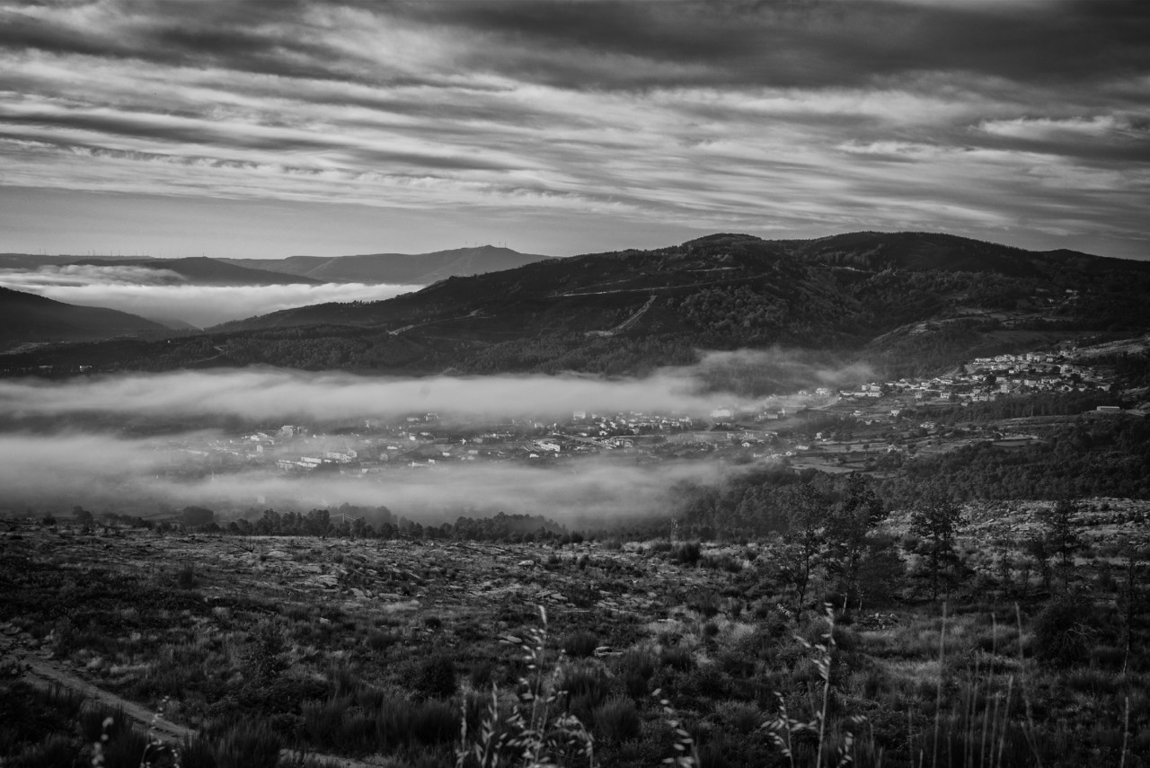 _JMF7228 - cópia copy.jpg