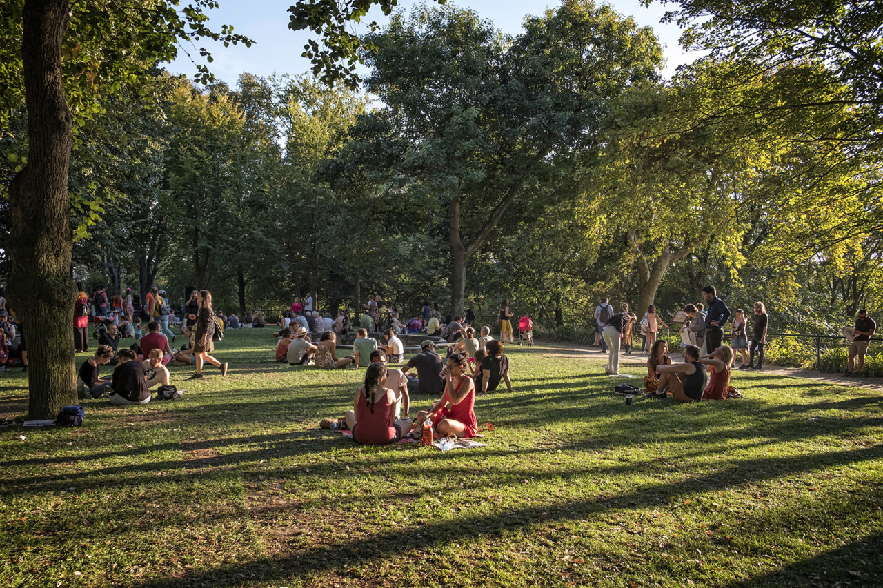 DSCF0853 - cópia.jpg