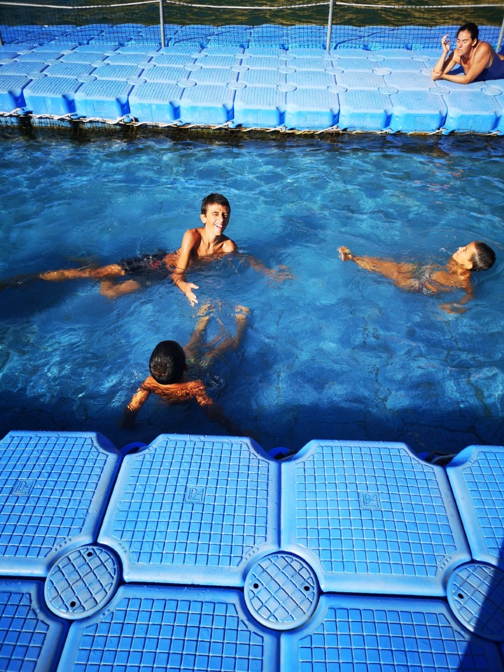 IMG_20200805_180126.jpg IMG_20200805_180126.jpg