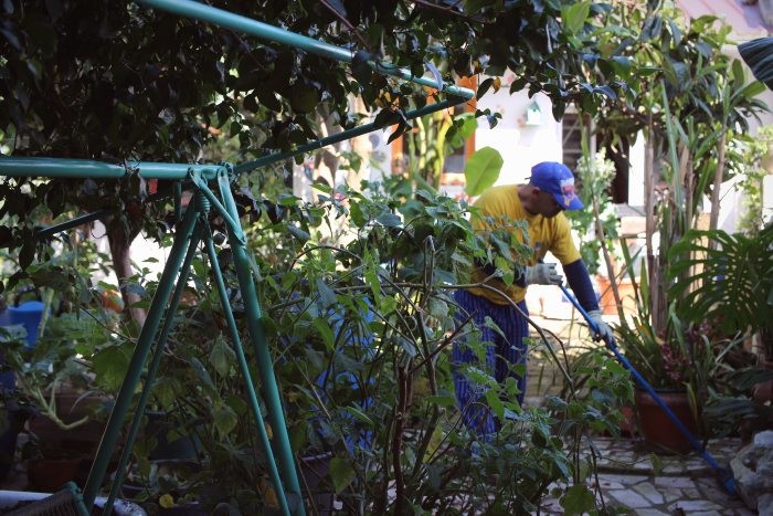 Quarentena - dia 2a.jpg