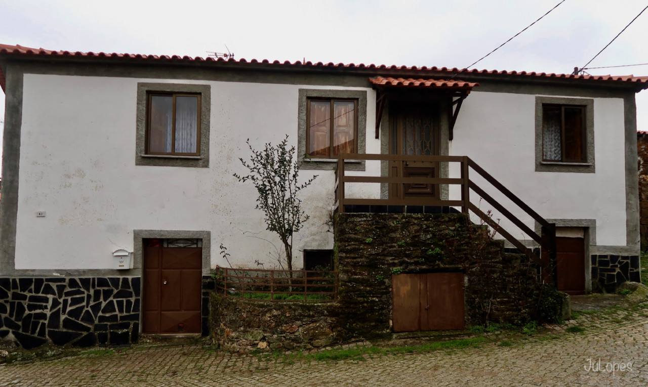 IMG_8228.jpg IMG_8228.jpg