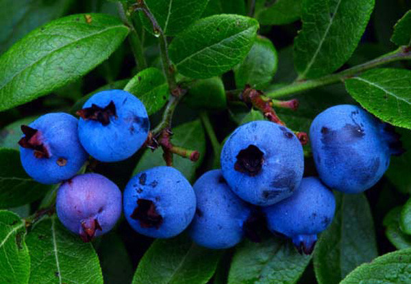 foto_0000000820150115162414.jpg foto_0000000820150115162414.jpg