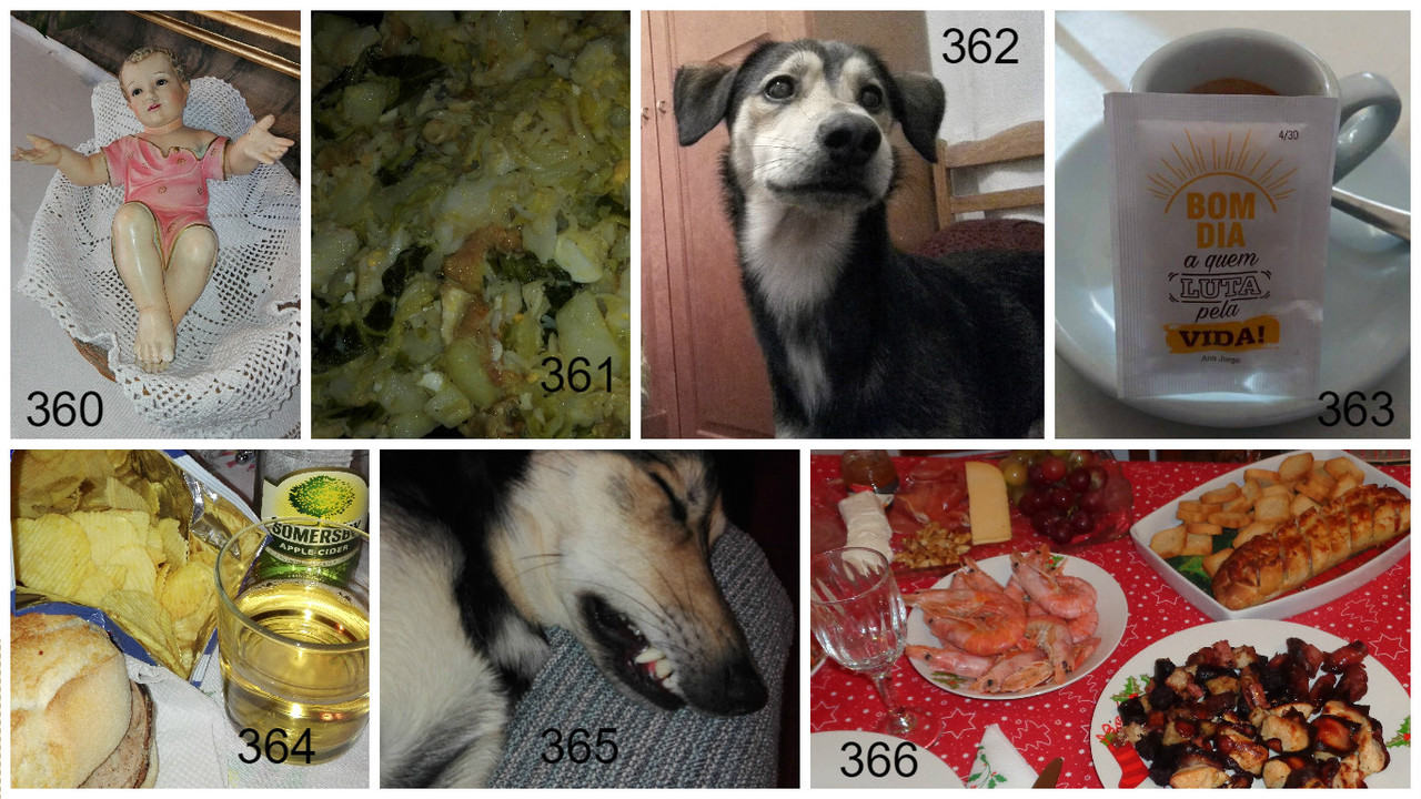 360 a 366.jpg 360 a 366.jpg