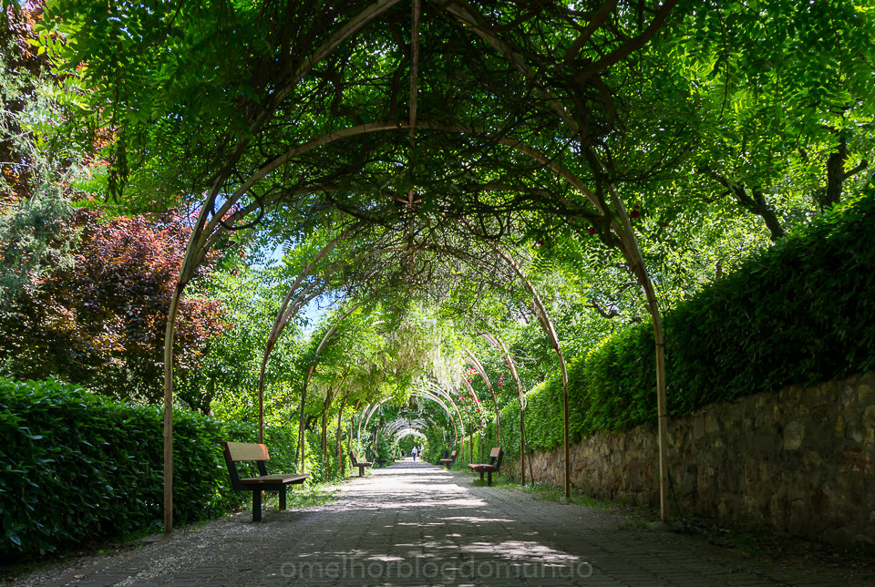 DSC02959.jpg DSC02959.jpg