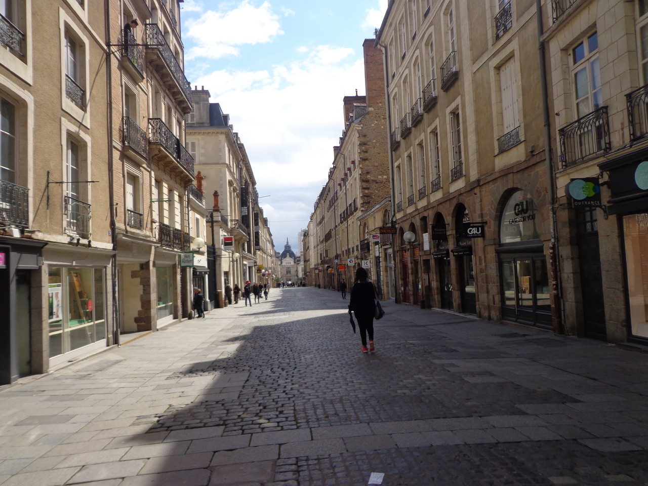 DSC09222.JPG DSC09222.JPG