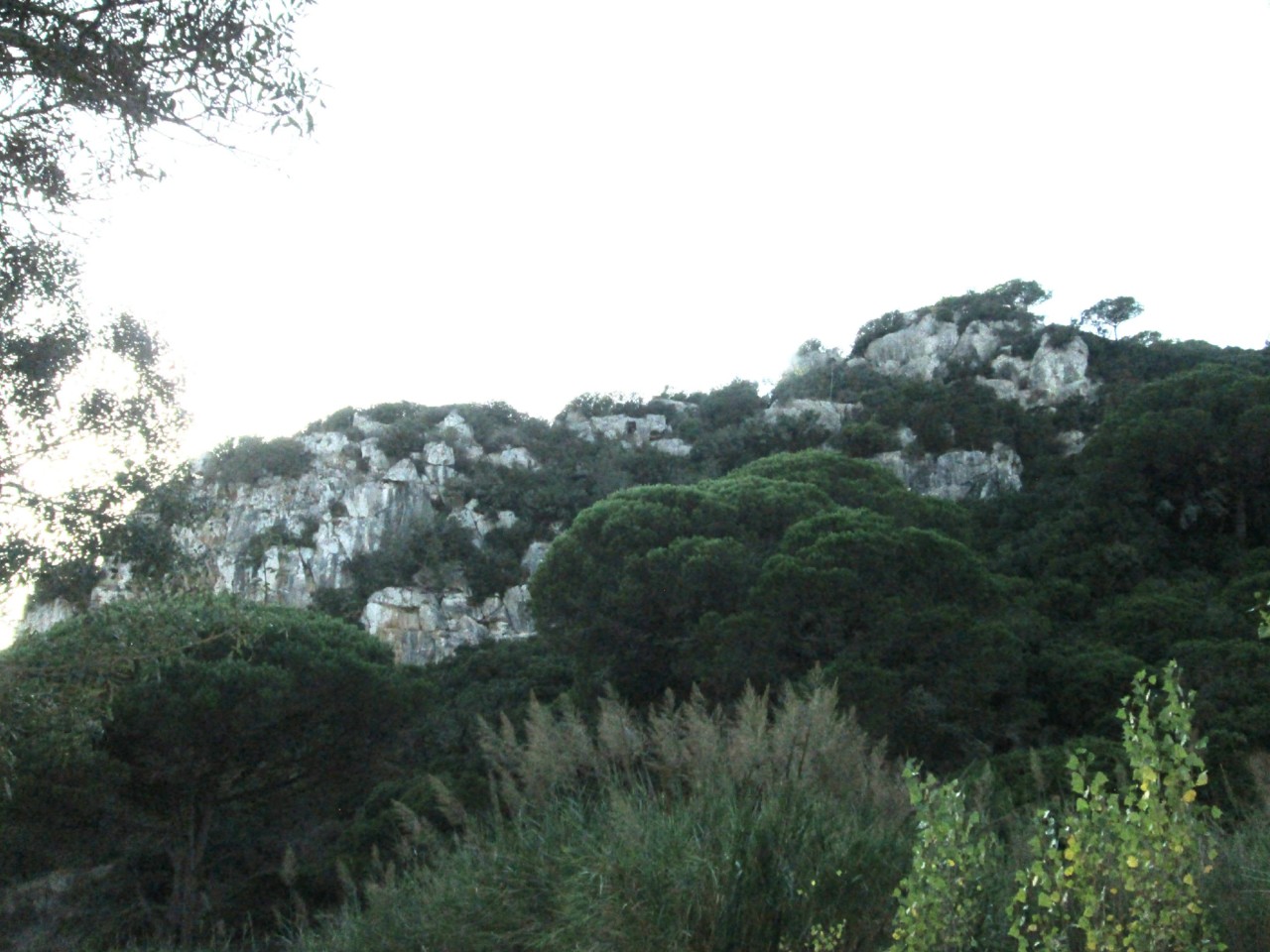 IMG_6684.JPG IMG_6684.JPG