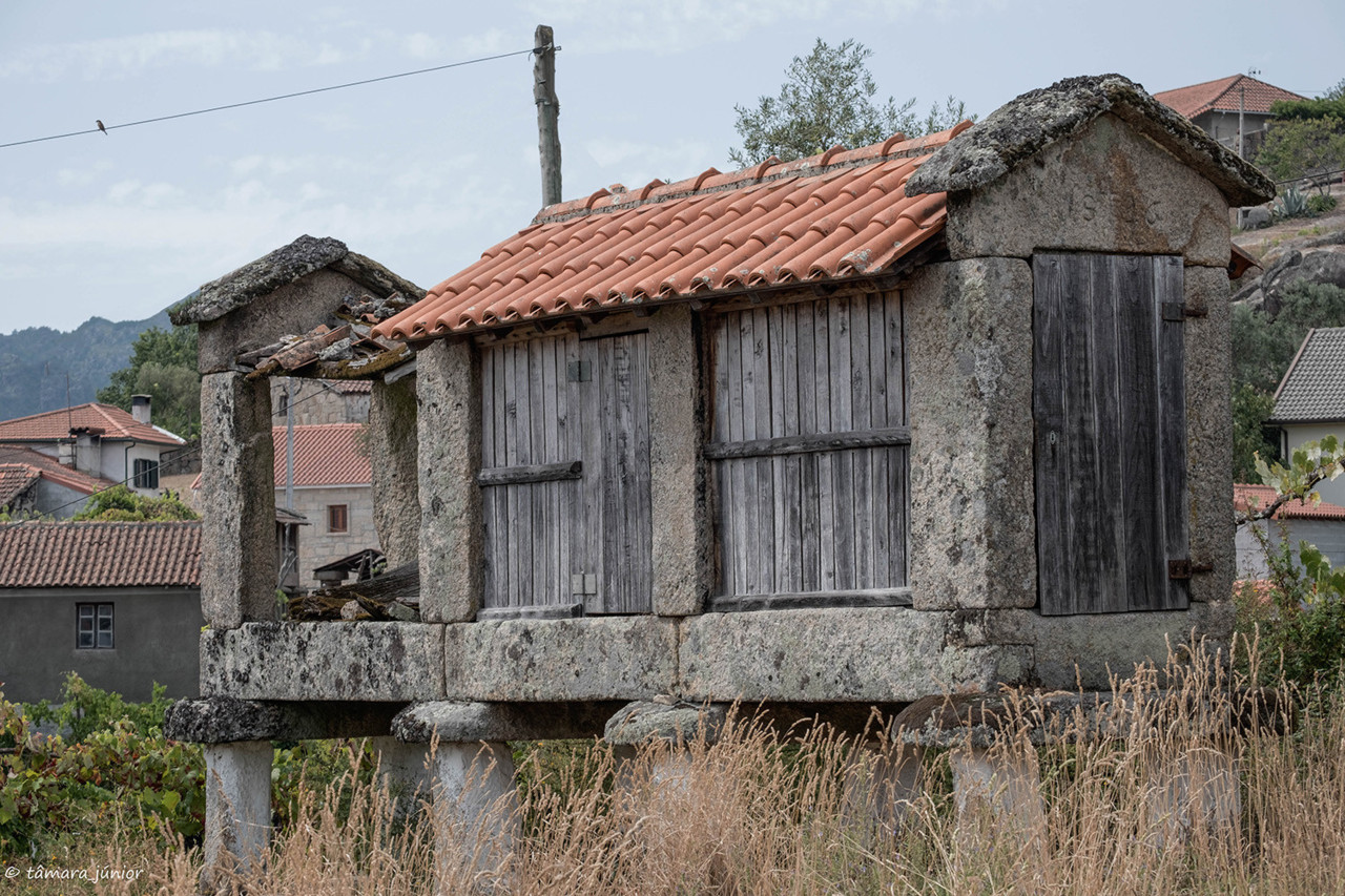 2017.- Montalegre (201).jpg