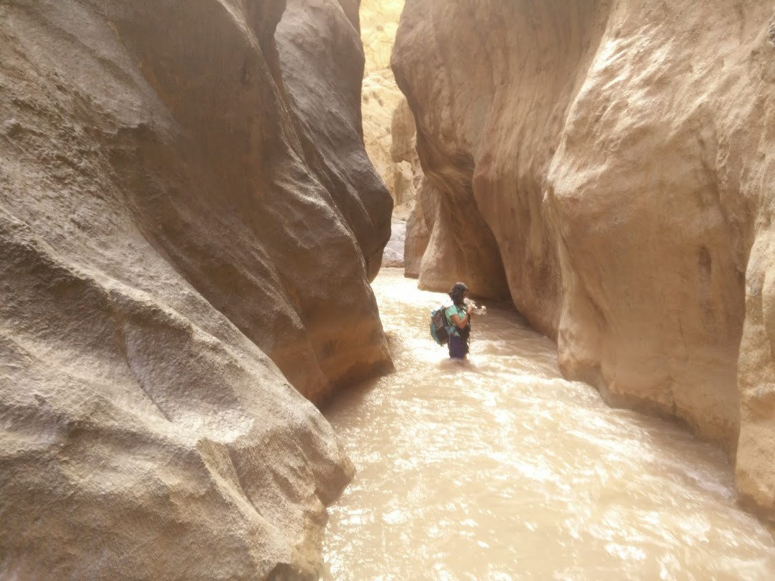 IMG_20170621_091024.jpg IMG_20170621_091024.jpg