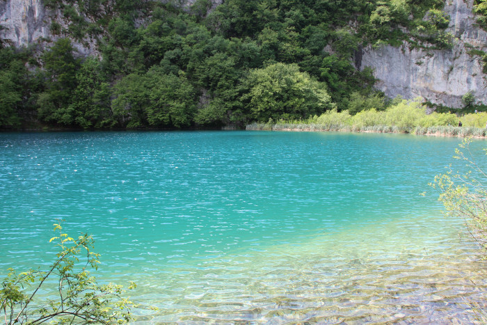 img_9638.jpg img_9638.jpg