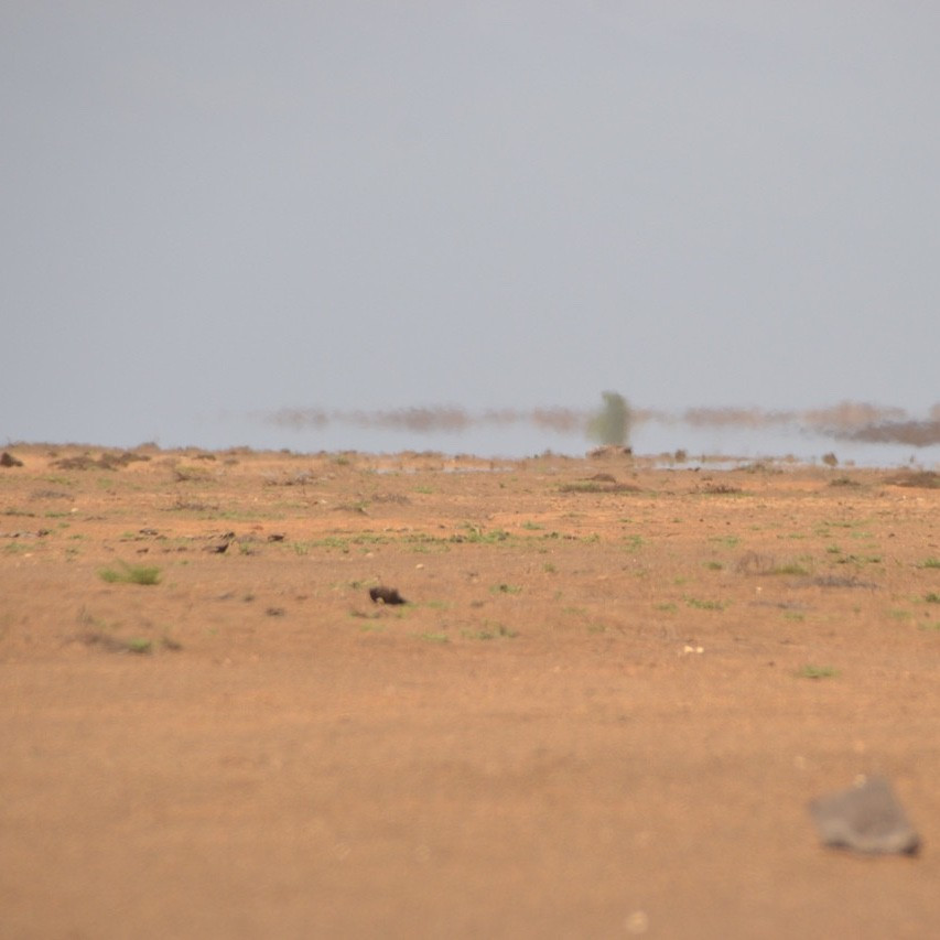 VIAGENS | Santa Maria, Sal, Cabo Verde