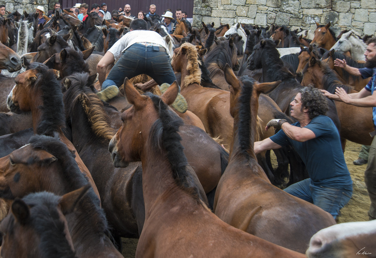 1600-rapa-bestas-17 (266).jpg